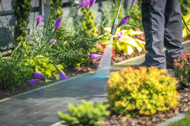 Best Patio and Deck Pressure Washing  in Northgate, OH